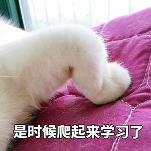 Meet your Posher, Mingchen